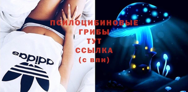 соль курить ск Алзамай
