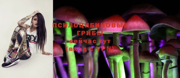гашик Алексеевка