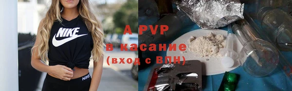 гашик Алексеевка