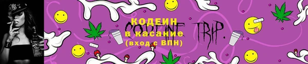 ГАЛЛЮЦИНОГЕННЫЕ ГРИБЫ Алексин
