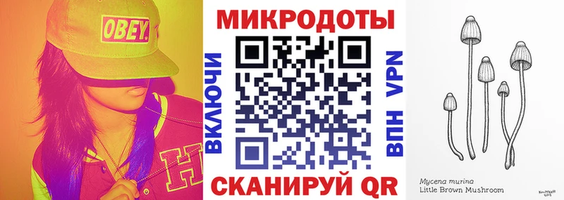 Галлюциногенные грибы мицелий  где купить наркоту  OMG как зайти  Котельнич 